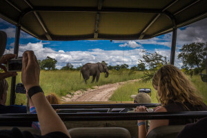 "Okavango Delta, Botswana, 2008" Bruce Rosenstiel STOCK