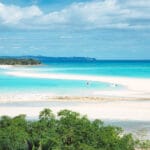 testimonial-author-1